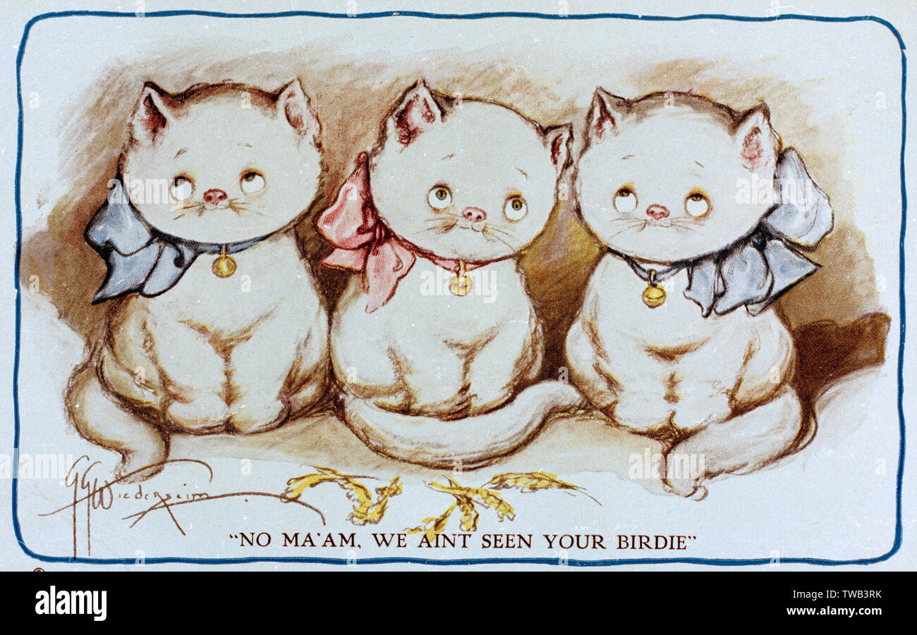 Cartolina comica, tre gatti Foto Stock
