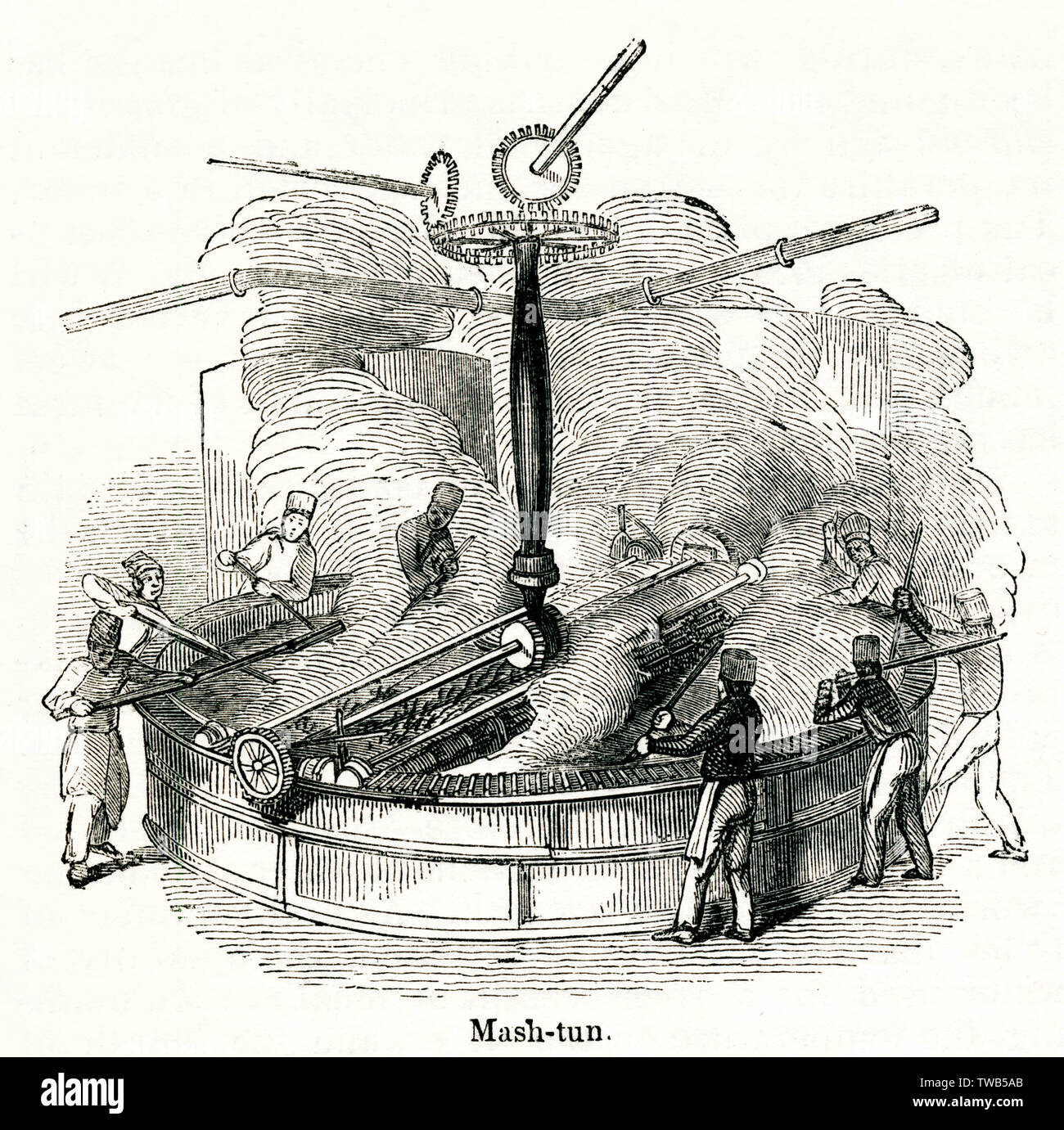 Schiacciare un panino in una distilleria, a sud-ovest di Londra Foto Stock