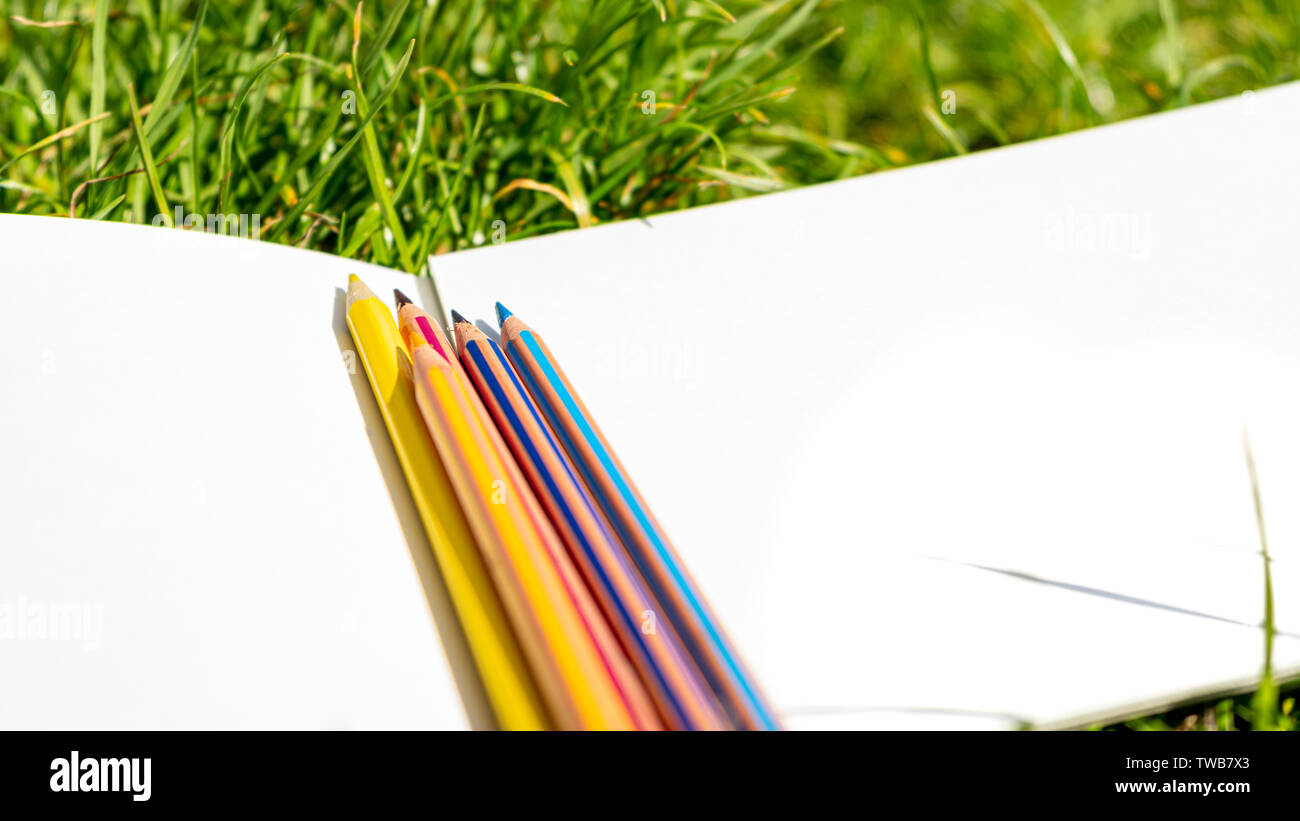 Si torna a scuola concetto. Matite colorate su disegno in bianco per notebook in carta verde erba Foto Stock