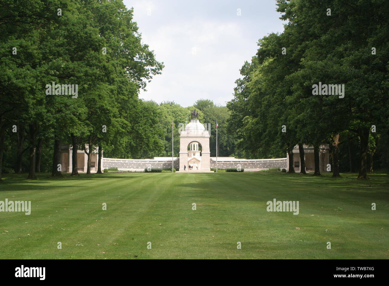 Delville Wood Foto Stock