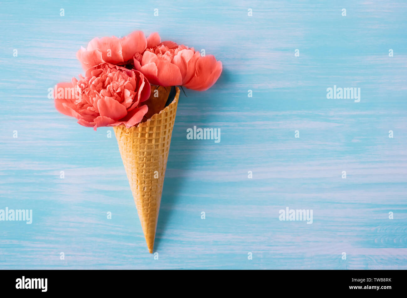 Le Peonie color corallo. Un bouquet di peonie in un cono per gelato. Colore 2019. Il design creativo. minimalismo. Foto Stock