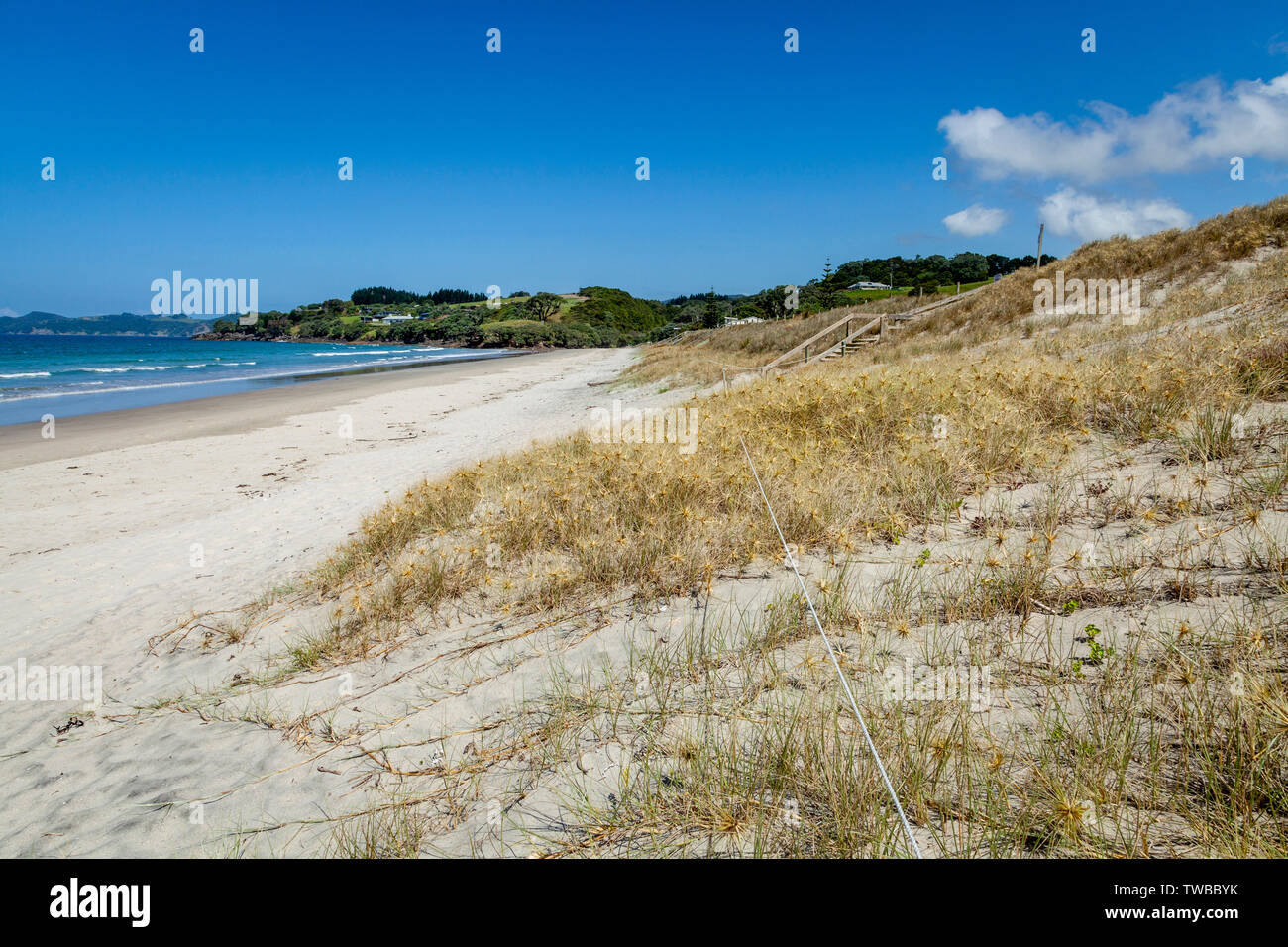 Waipu Cove, orate Bay, Isola del nord, Nuova Zelanda Foto Stock