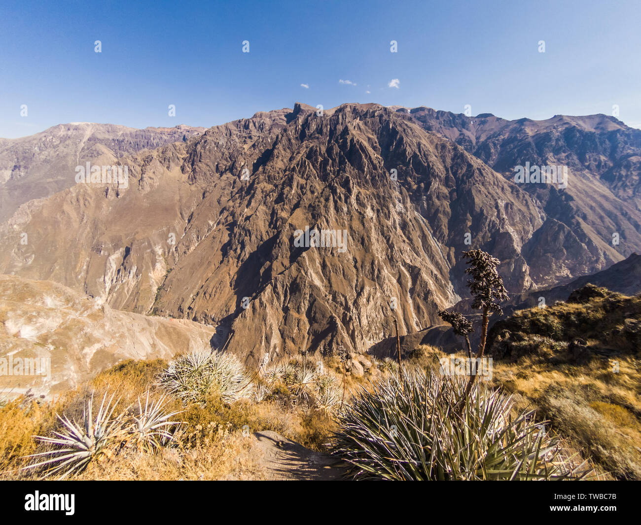 Il Canion del Colca da Cabanaconde in Perù. Il più profondo canyon sulla terra. Foto Stock