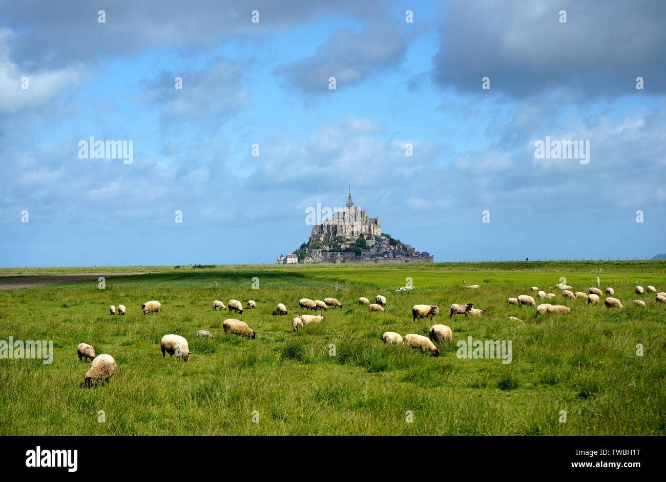 Le Mont Saint Michel 5 Foto Stock