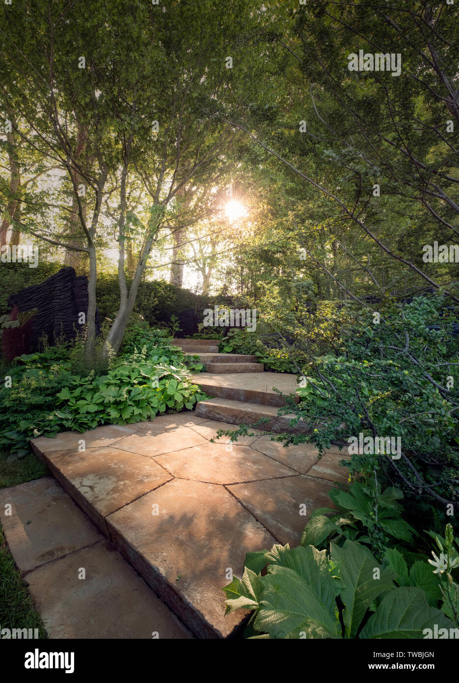 Il sole splende attraverso gli alberi presso il giardino dello spettacolo M & G al Chelsea Flower Show di Londra, Regno Unito. Foto Stock
