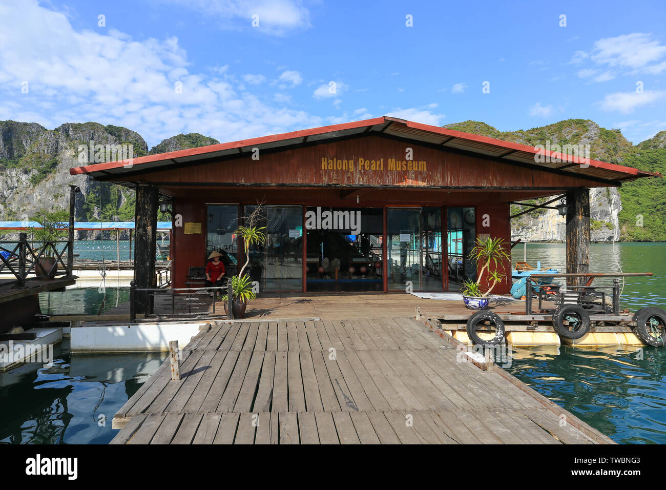 La Baia di Ha Long, Vietnam Foto Stock