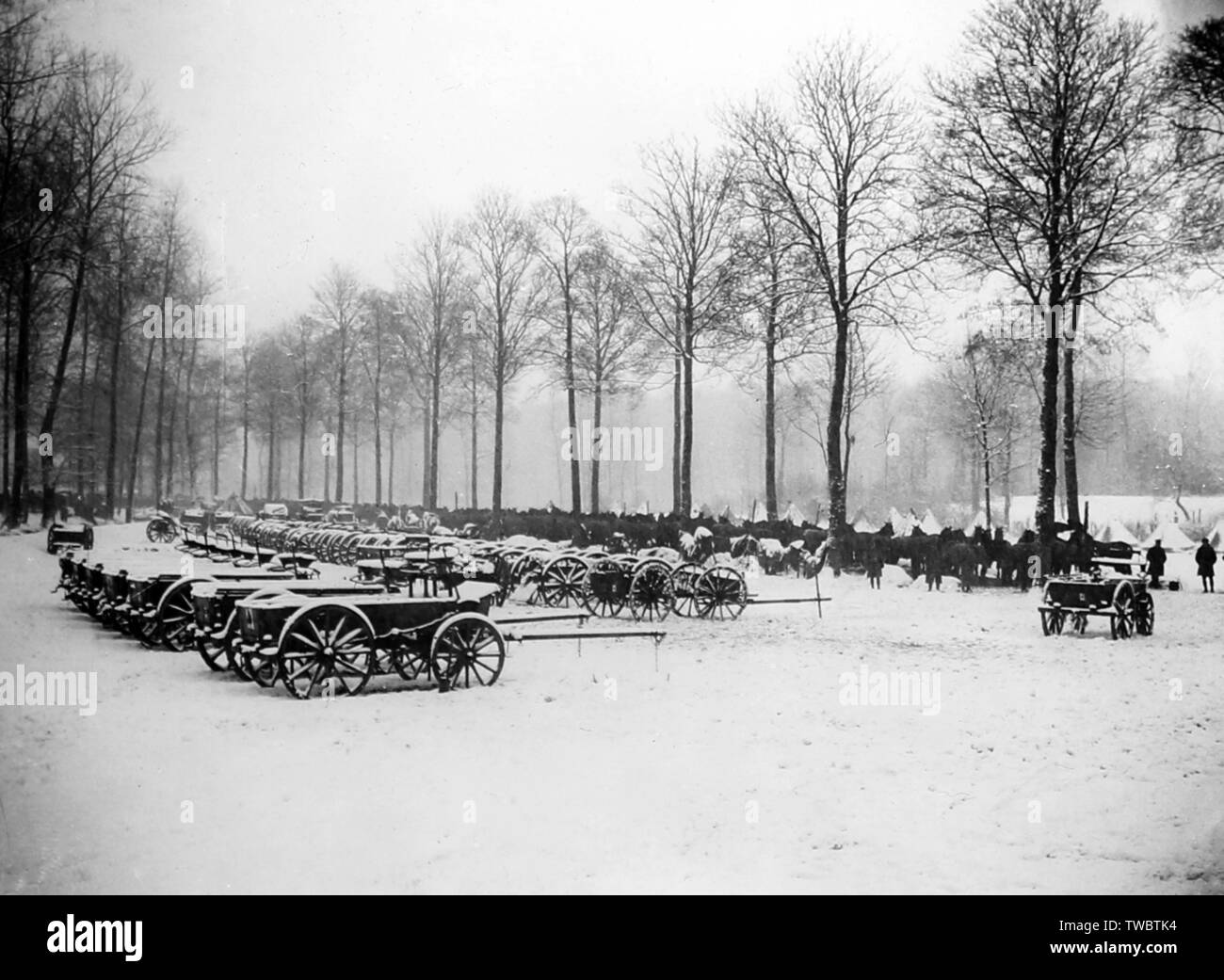Il trasporto di cavalli parcheggiato nella neve, Arras Road vicino a St Pol, Febbraio 1917 Foto Stock