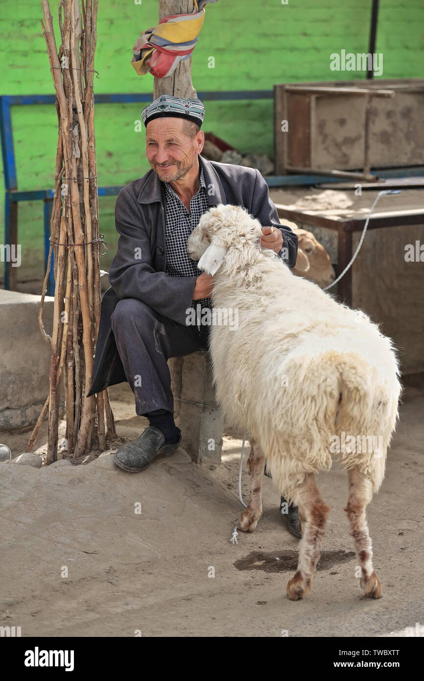 Sorridente gestore di bestiame seduto con le sue pecore. Hotan Mercato Del Bestiame-Xinjiang-Cina-0167 Foto Stock