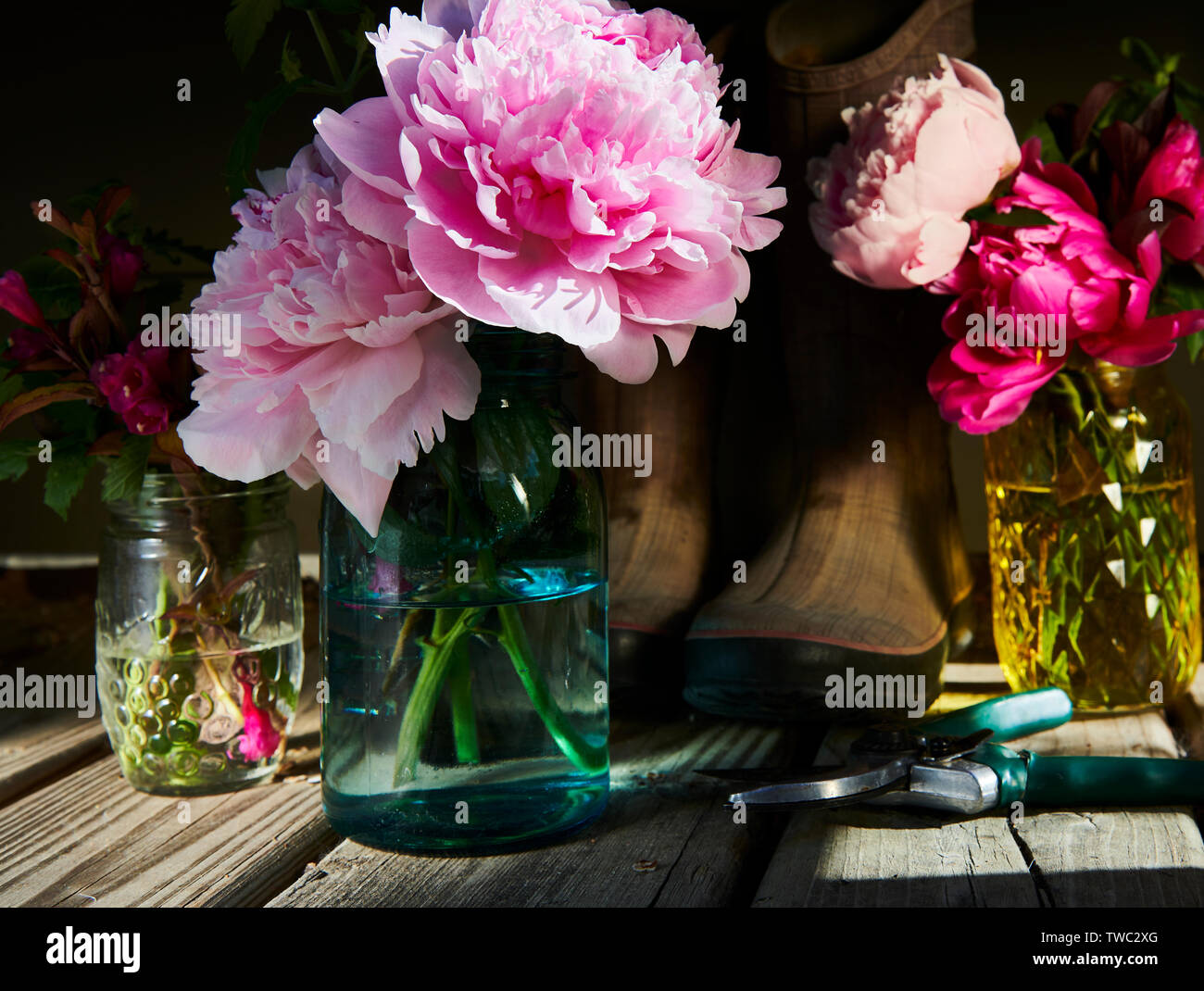 Mattina ritagli di fiori Foto Stock