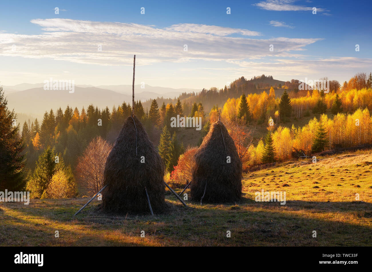 Paesaggio autunnale con haystacks. Serata in un villaggio di montagna. Carpazi, Ucraina, Europa Foto Stock