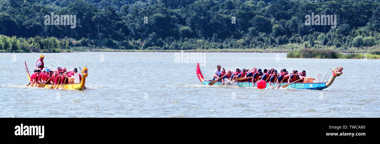 Arlington, Texas - Giugno 15,2019 - gara di dragon boat sul Lago di Viridian. Mostra due delle barche drago racing a piena velocità. Foto Stock