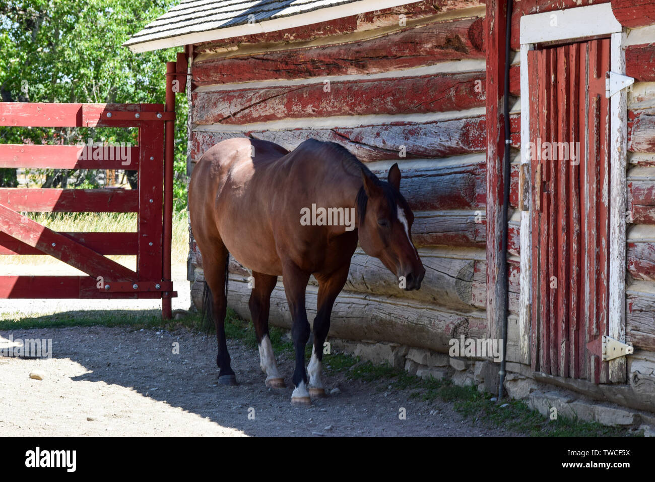 Ranchland Foto Stock