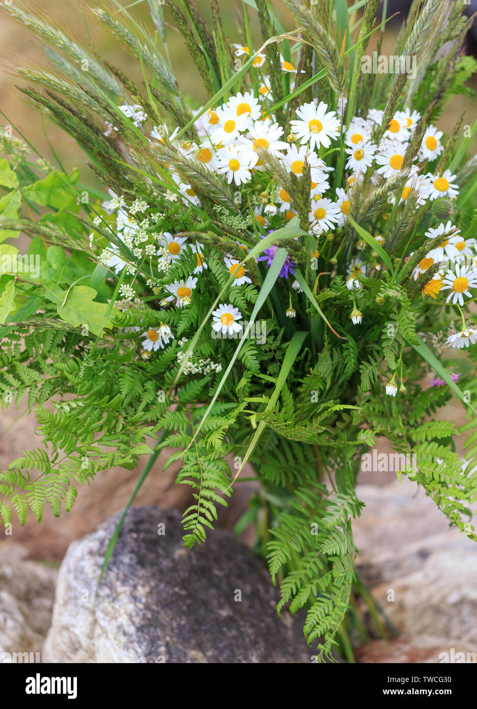 Un bouquet di estate di erbe selvatiche e fiori in natura, il solstizio  d'estate. Sole estivo celebrazione Foto stock - Alamy