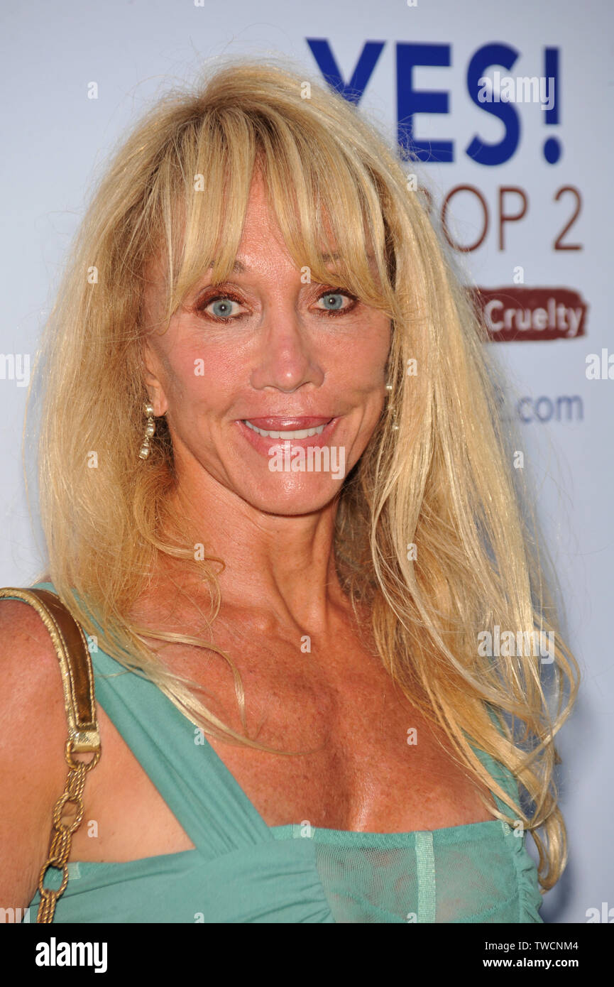 LOS ANGELES, CA. 28 settembre 2008: Cindy Landon a una celebrità di gala in Beverly Hills per supportare sì! Sul puntello 2 campagna per provde supporto per la California scrutinio misurare per interrompere il trattamento crudele e inumano degli animali della fattoria. © 2008 Paul Smith / Featureflash Foto Stock