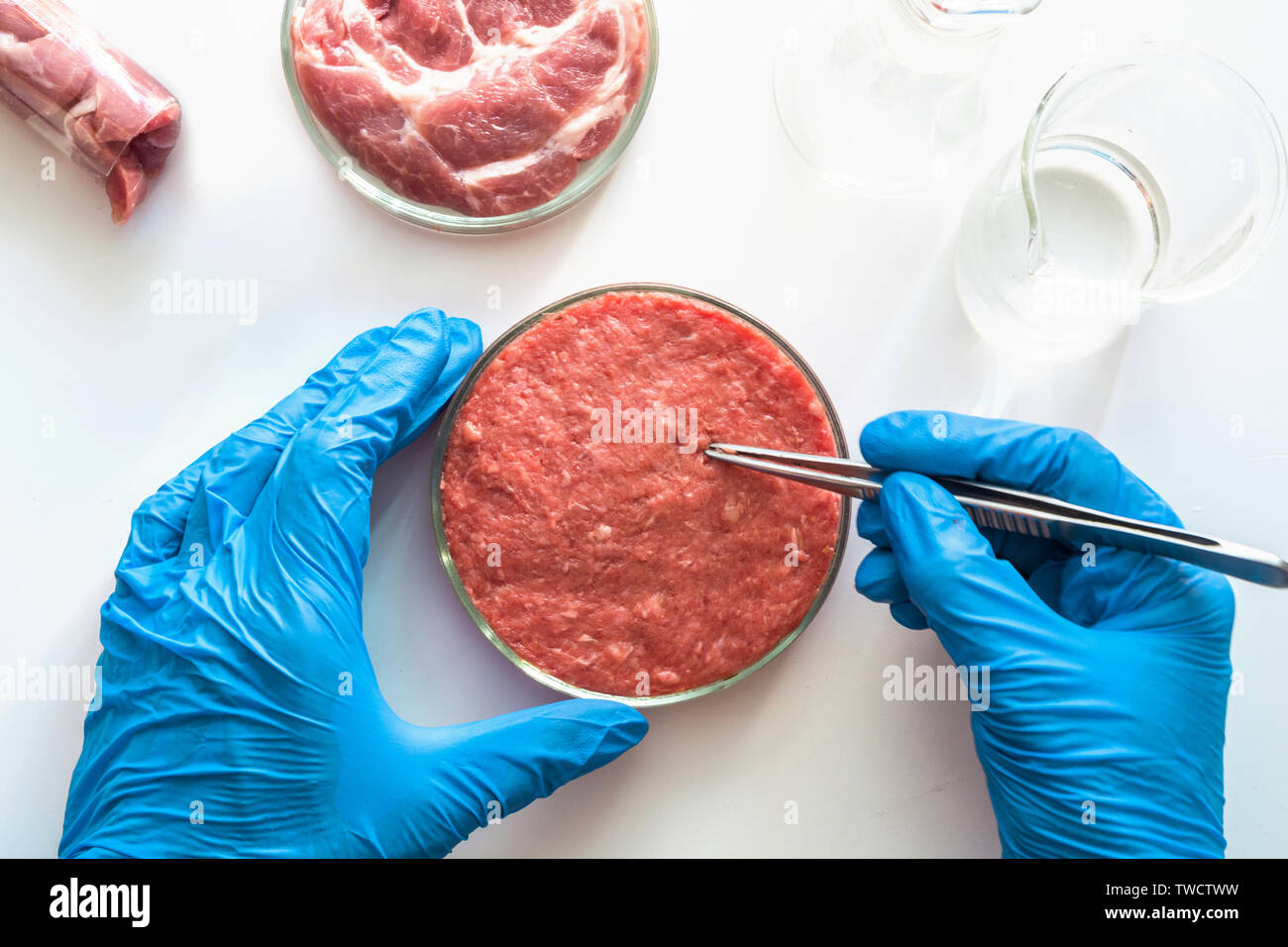 Studi di laboratorio di artificiali a base di carne. Carni macinate in  Piastra Petri sotto la supervisione di uno scienziato a guanti. Vista da  sopra. Esperimento di chimica Foto stock - Alamy