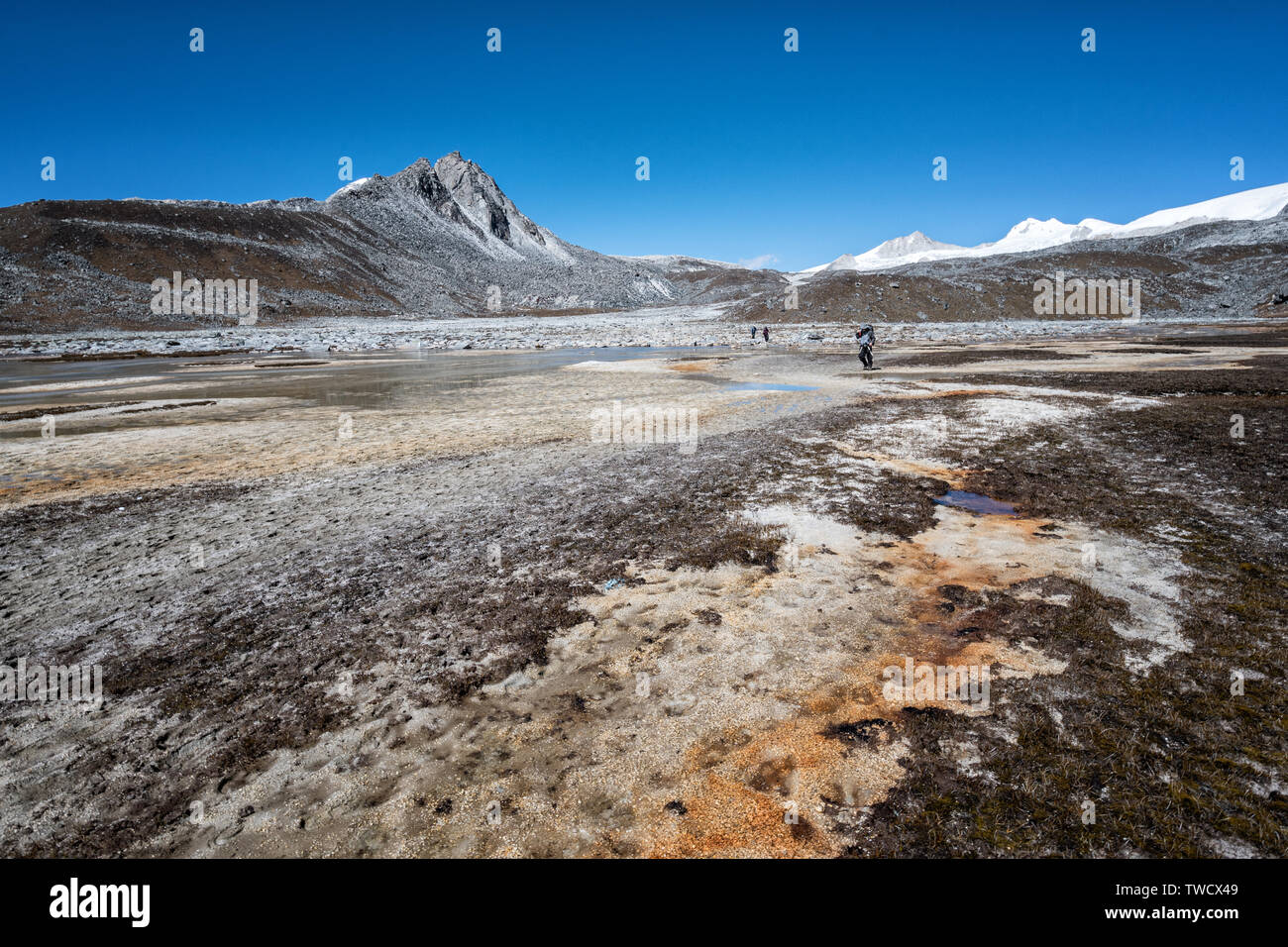 Alta altitudine plateau tra Rinchen Zoe La e Chukarpo, Wangdue Phodrang district, Snowman Trek, Bhutan Foto Stock