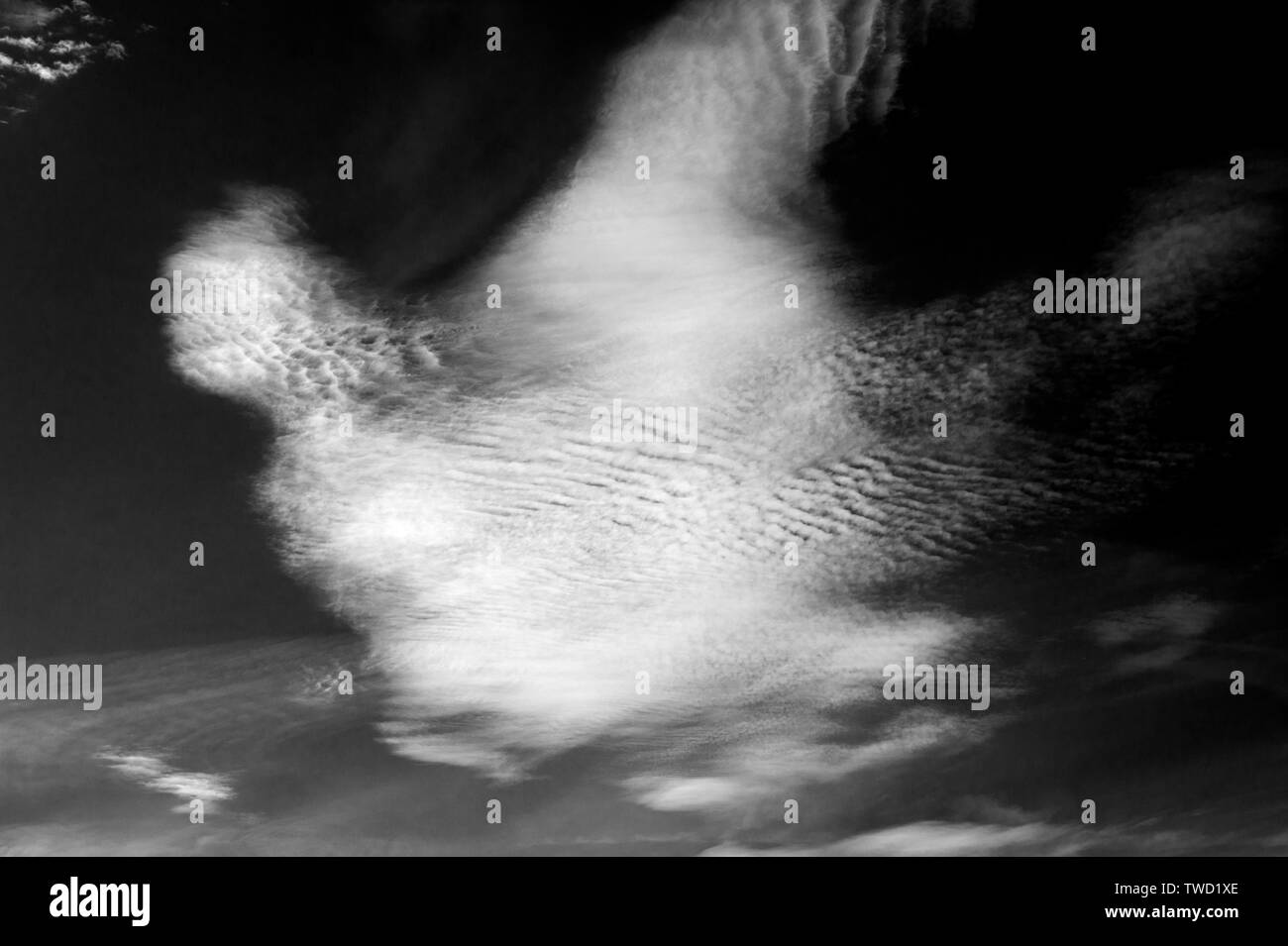 Nuvole di cirrocumuli con forme astratte e l'aspetto del movimento Foto Stock