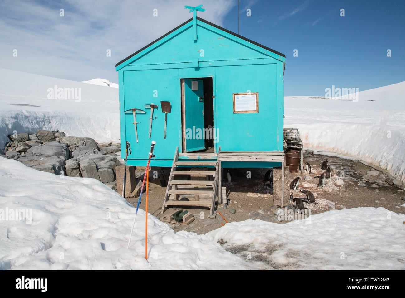 Capanna scientifica, Damoy Point, Antartide 25 Gennaio 2019 Foto Stock