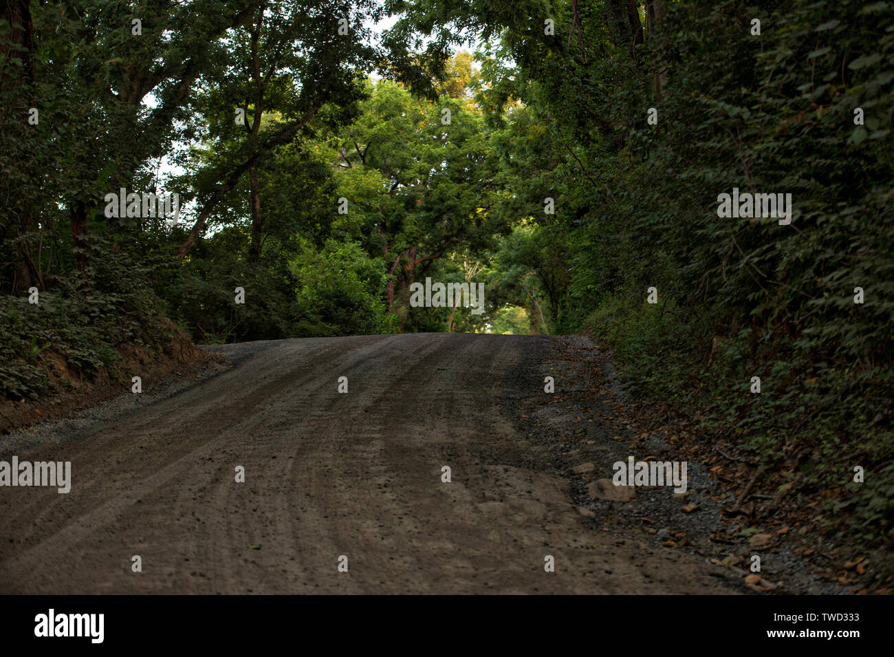 Stati Uniti - Luglio 22, 2017: Western Loudoun storico della strada di ghiaia noto come Allder School Road al di fuori del villaggio di Round Hill. Molti di di Foto Stock