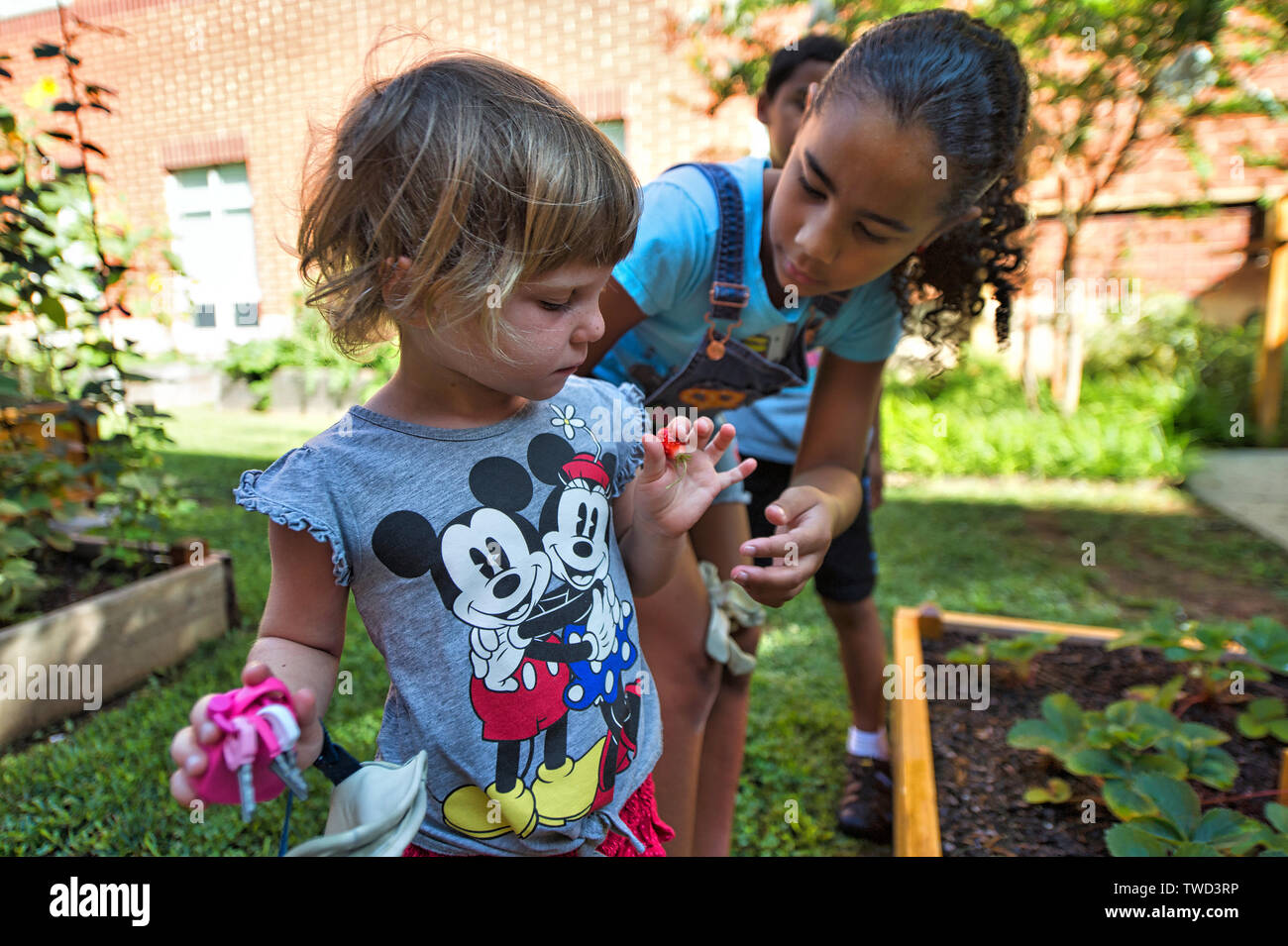 Stati Uniti - Luglio 24, 2017: Frederick Douglass Elementary è un enorme giardino al centro dell'edificio. Ogni livello si prende cura di loro rai Foto Stock