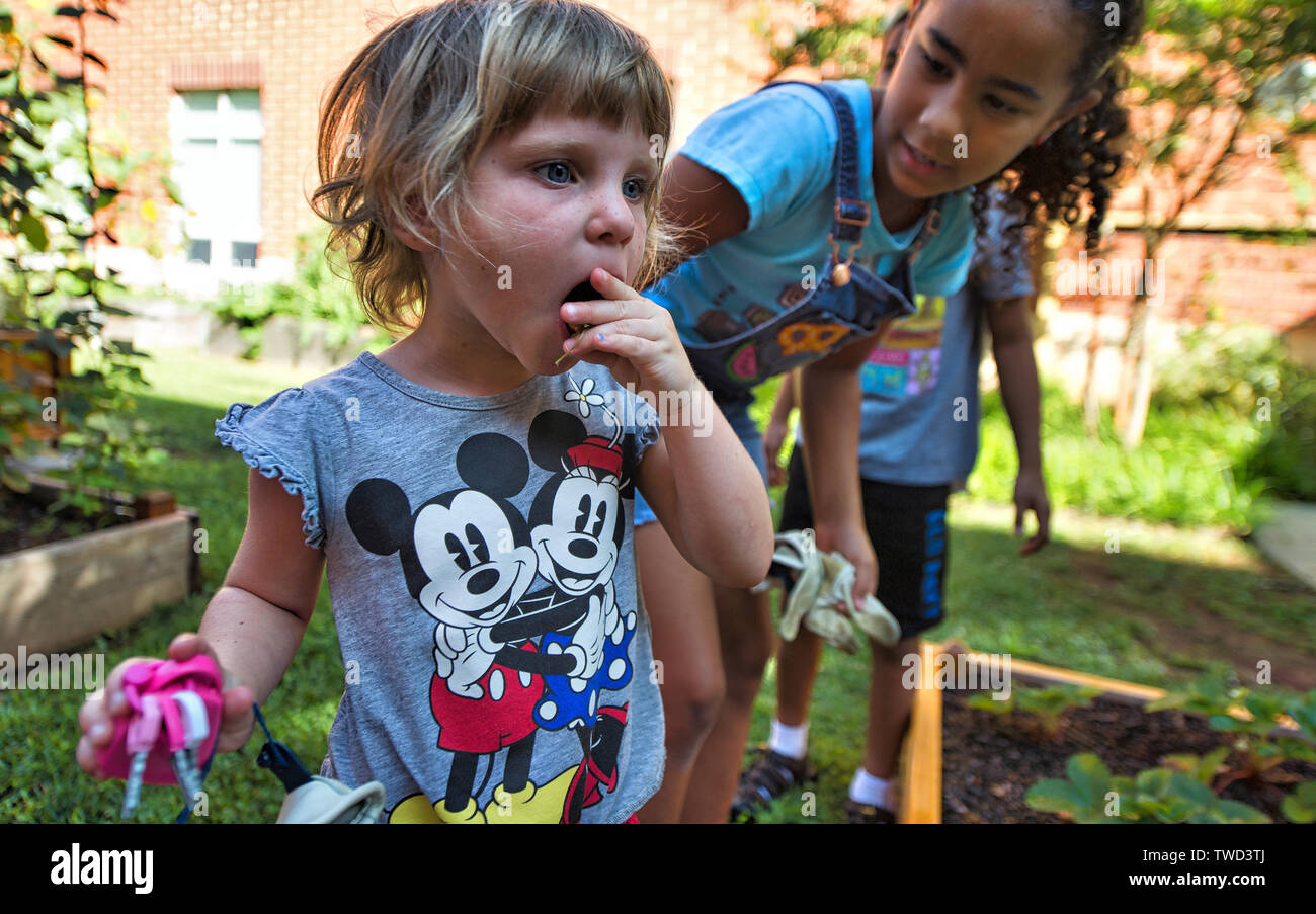 Stati Uniti - Luglio 24, 2017: Frederick Douglass Elementary è un enorme giardino al centro dell'edificio. Ogni livello si prende cura di loro rai Foto Stock