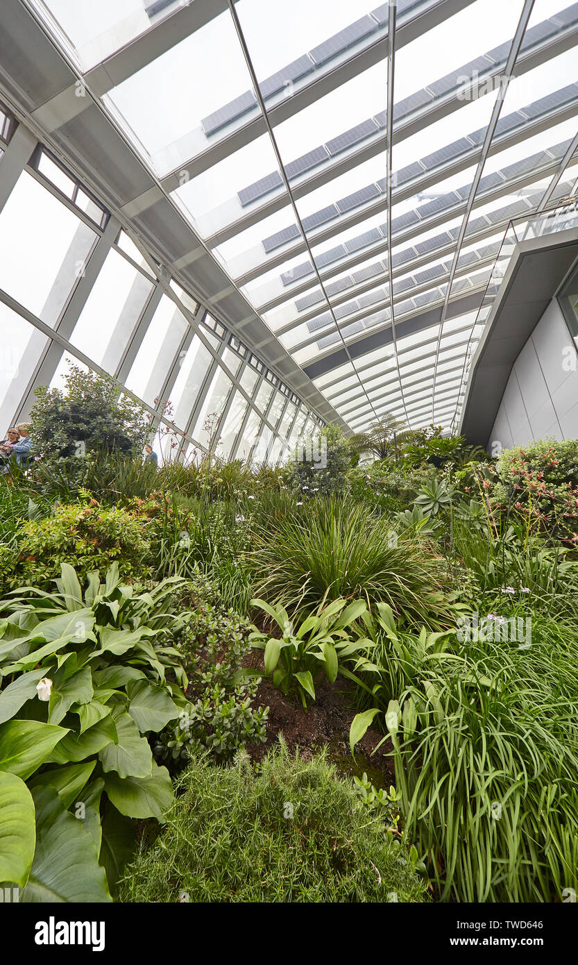 Sky Garden a 20 Fenchurch Street è un unico spazio pubblico che si estende per tre piani ed offre 360 gradi di vedute ininterrotte Londra Foto Stock