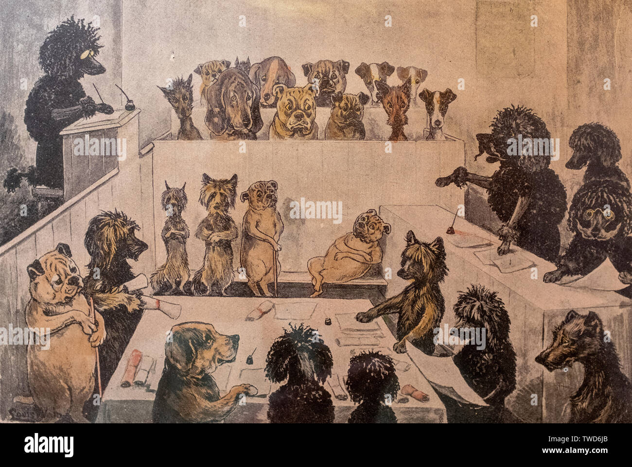 Foto di disegno di Louis Wain, artista inglese raffigurante i cani in aula di scena Foto Stock