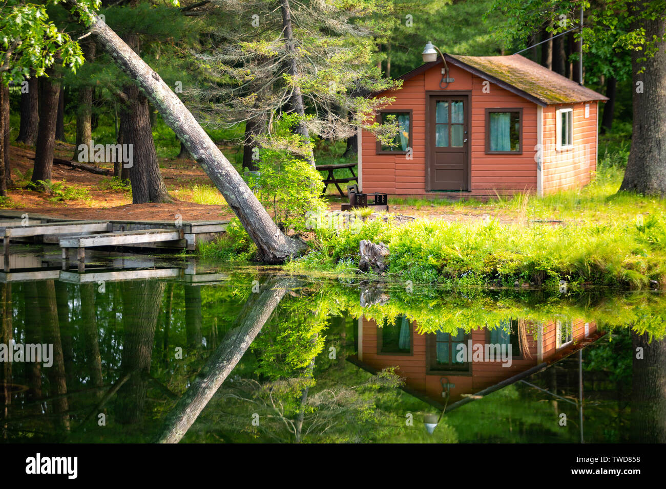 Estate Home cabina nei boschi presso il lago di giorno Foto Stock