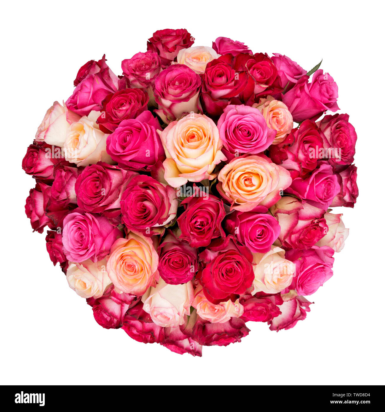 Grande rosso e giallo bouquet di rose isolati su sfondo bianco, vista dall'alto Foto Stock