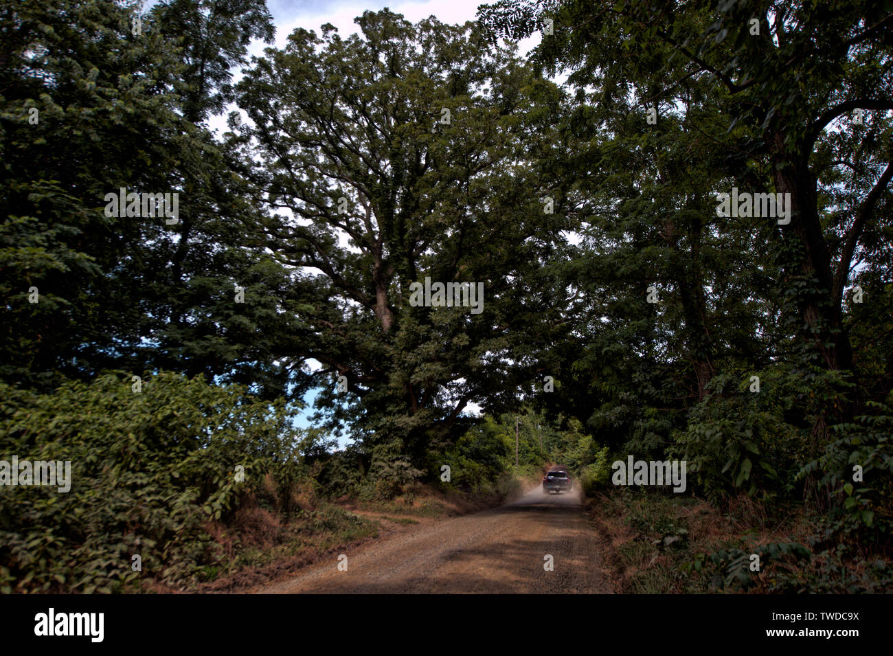 Stati Uniti - Luglio 3, 2017: Western Loudoun storica strada sterrata noto come Greggsville strada al di fuori del villaggio di Philomont. Molti di sporcizia roa Foto Stock