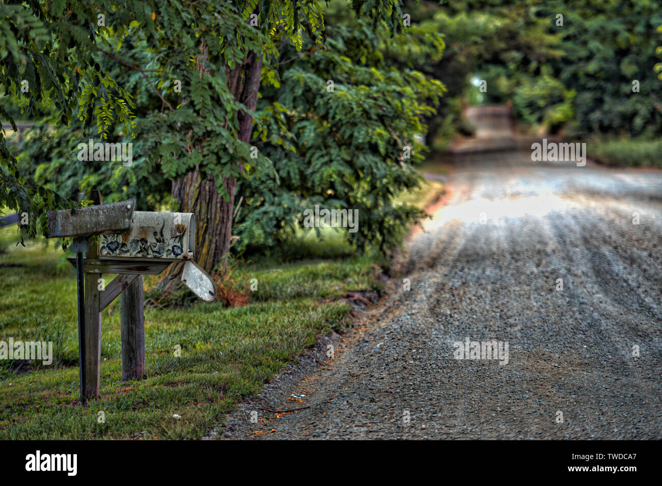 Stati Uniti - Luglio 3, 2017: Western Loudoun storica strada sterrata noto come Greggsville strada al di fuori del villaggio di Philomont. Molti di sporcizia roa Foto Stock