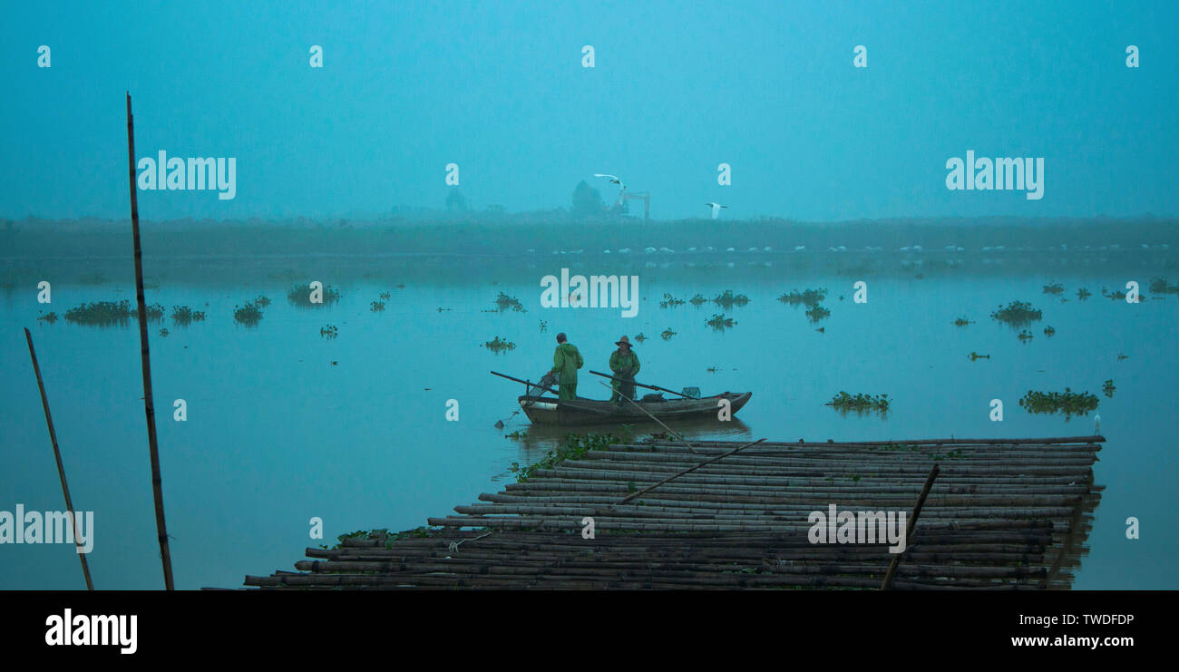 Nebbia rurale Visualizza Wetland Foto Stock