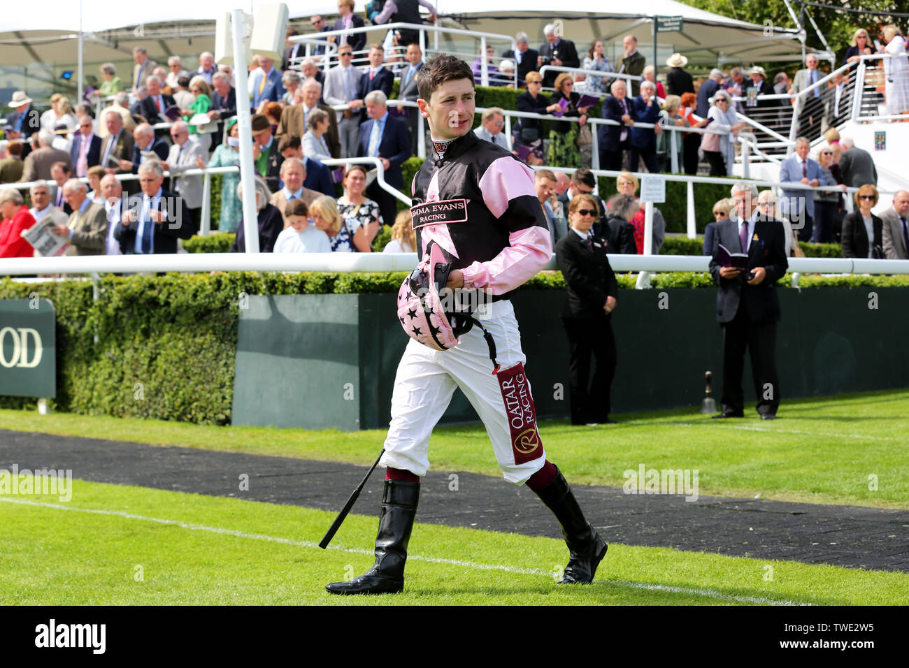 Viste generali dell'Ippodromo di Goodwood a Chichester, West Sussex, Regno Unito. Foto Stock