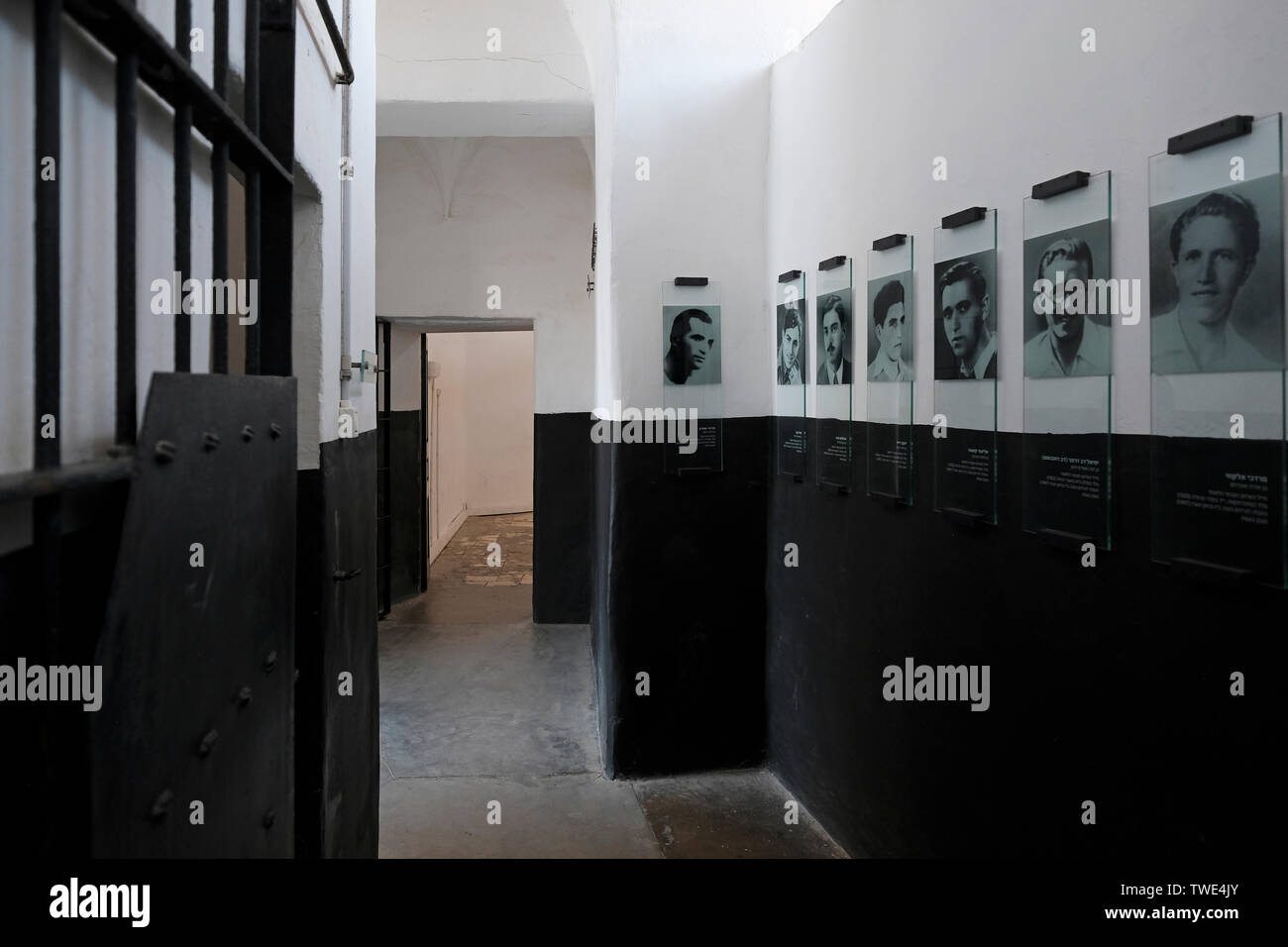 Fotografie dei prigionieri ebrei, membri di organizzazioni sotterranee impiccavano al corridoio delle celle dei prigionieri del braccio della morte nell'ex prigione di Acre o Akko e attualmente il Museo dei prigionieri sotterranei nella città vecchia di Acre, nel nord di Israele. Al tempo del mandato britannico molti arabi furono imprigionati in questa prigione come criminali o per aver partecipato alla rivolta araba 1936–1939 in Palestina. Conteneva anche prigionieri ebrei, membri di organizzazioni sotterranee a causa della loro lotta contro il governo obbligatorio e la loro lotta per stabilire una casa nazionale nella Terra di Israele. Foto Stock
