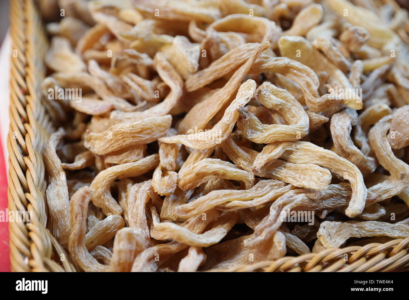 Gastrodia artemisiae Foto Stock