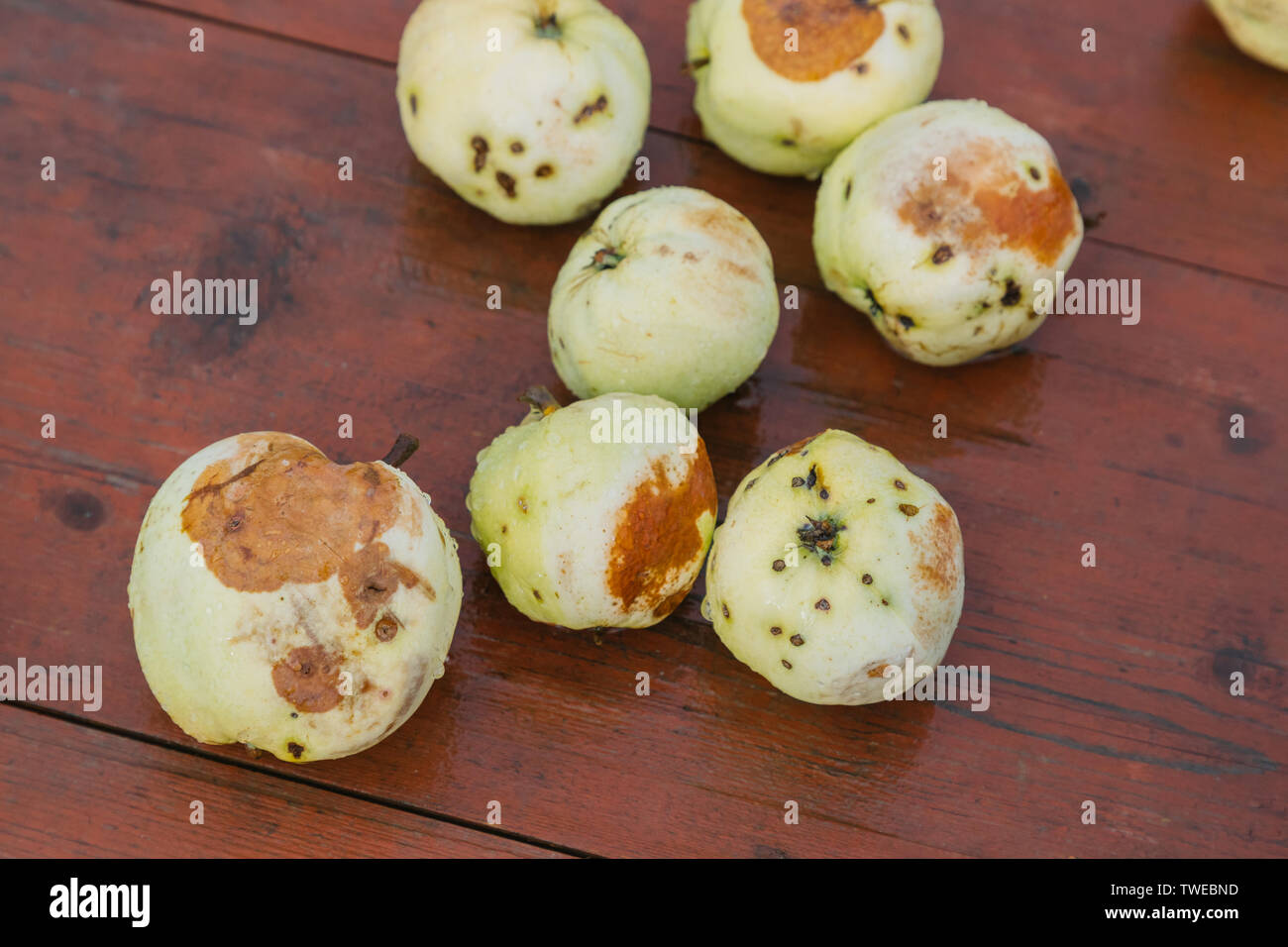 Diverse le mele rovinate su sfondo di legno Foto Stock