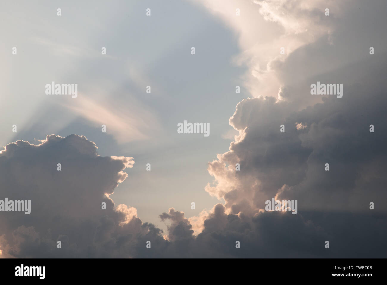 Lussureggiante e nubi luminose durante il giorno Foto Stock