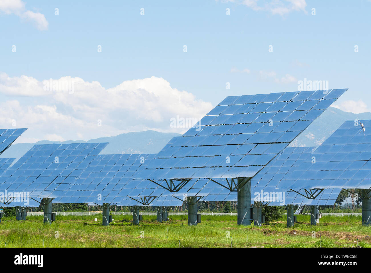Pannello solare produce verde, rispettosi dell'ambiente energia dal Foto Stock