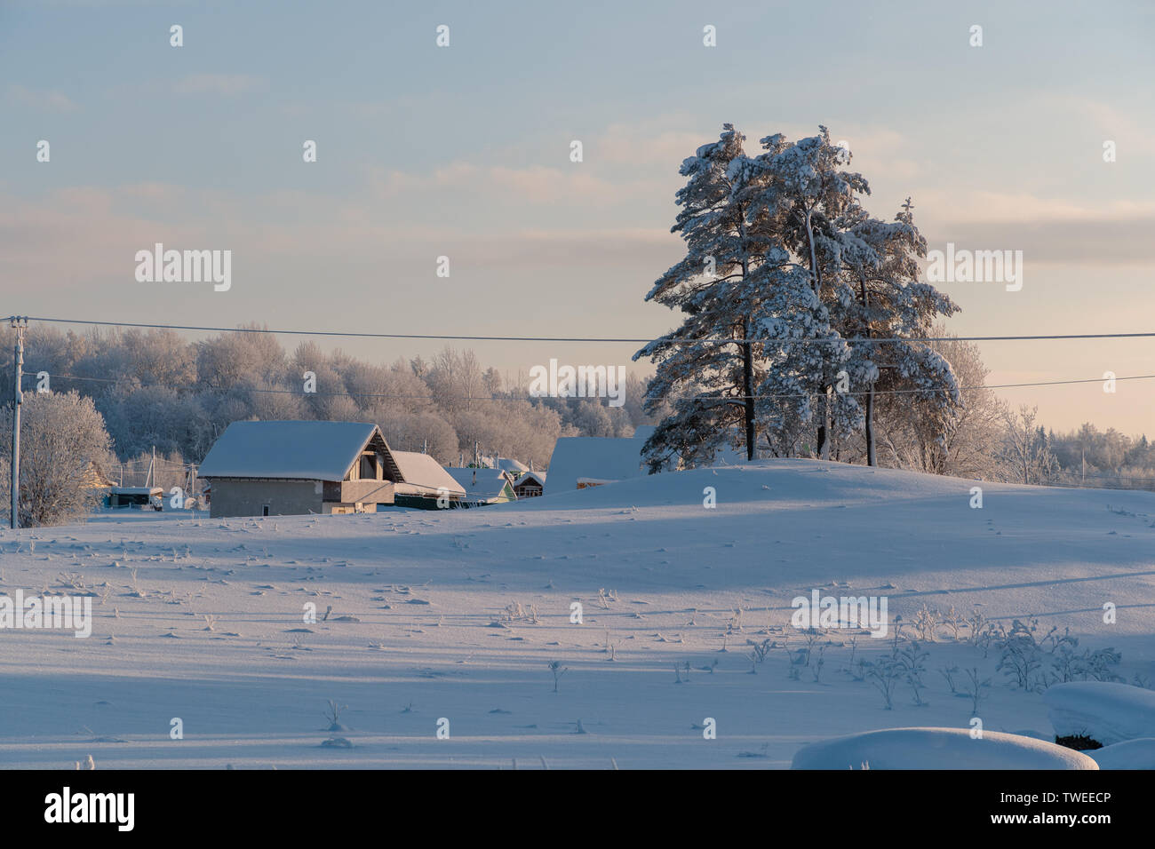 Freddo e di paesaggi invernali con la neve in Russia Foto Stock