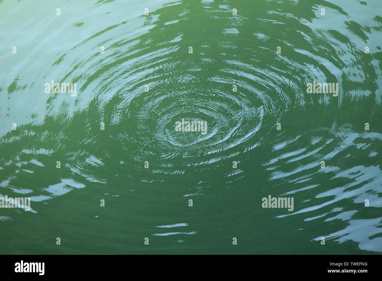 Cerchi concentrici sulla superficie dell'acqua Foto Stock