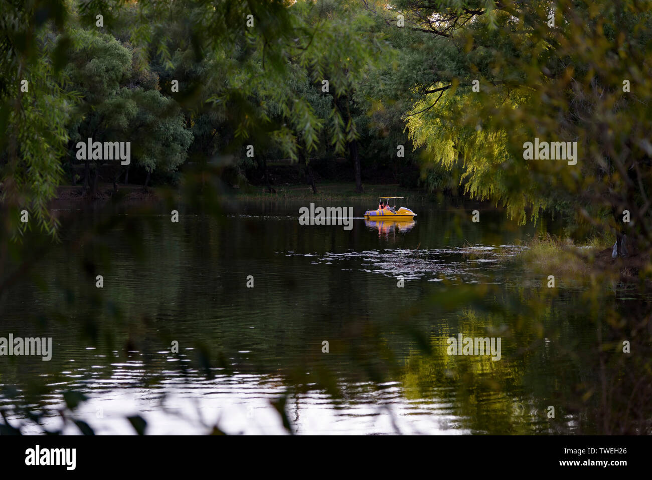 Il parco della città. Foto Stock