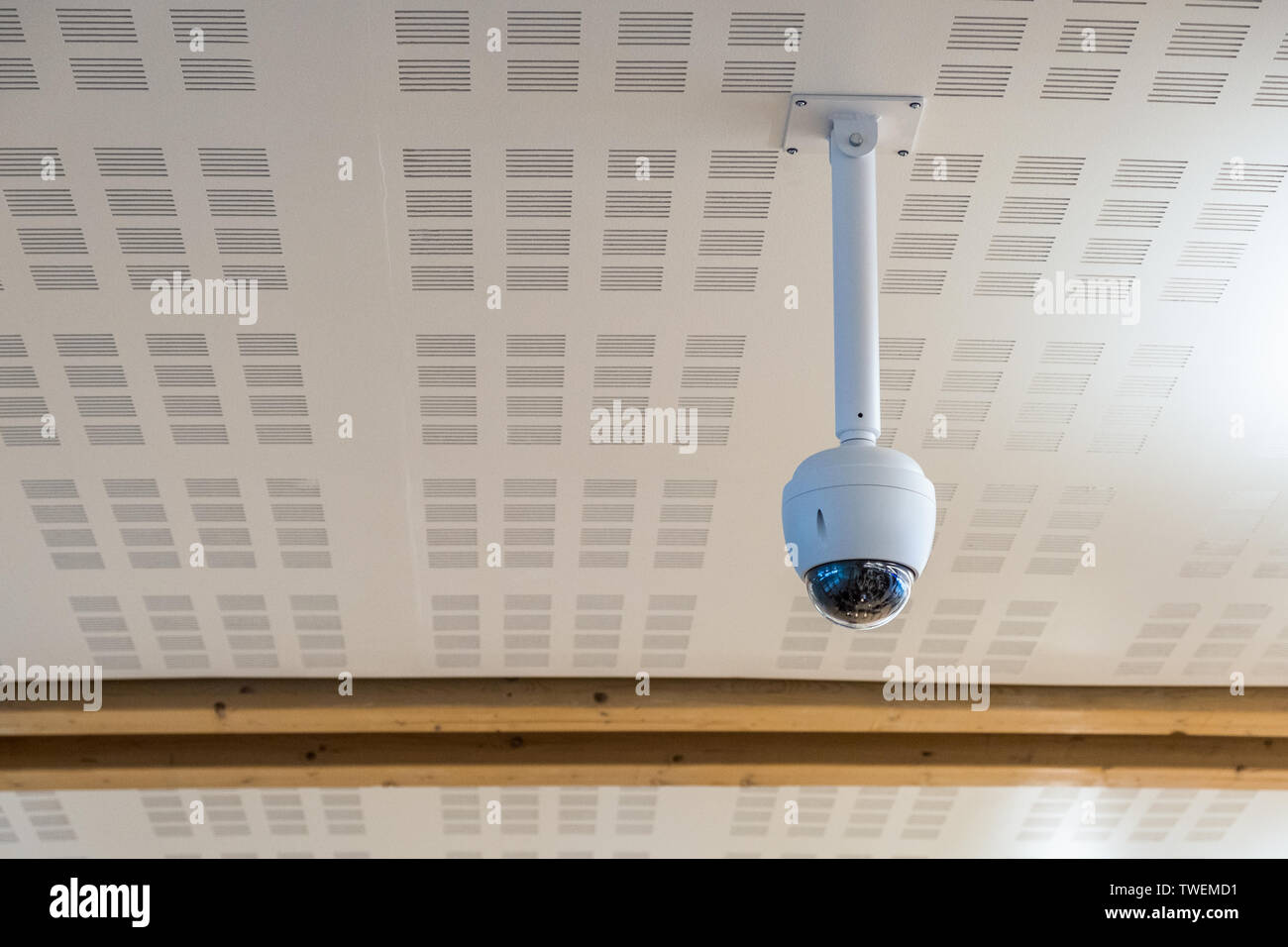 Telecamera di videosorveglianza (TVCC) forma di cerchio appesa al soffitto Foto Stock