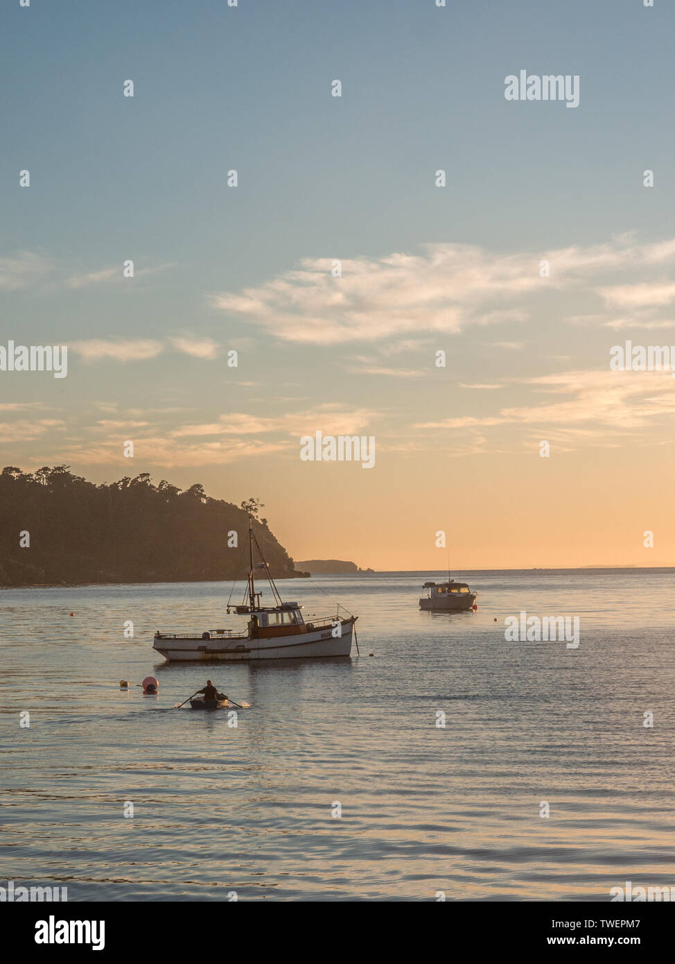 La mattina presto la luce riflessa da un mare calmo, un uomo canottaggio un dinghy verso un yacht ormeggiati, Halfmoon Bay, Rakiura Isola Stewart, Nuova Zelanda Foto Stock