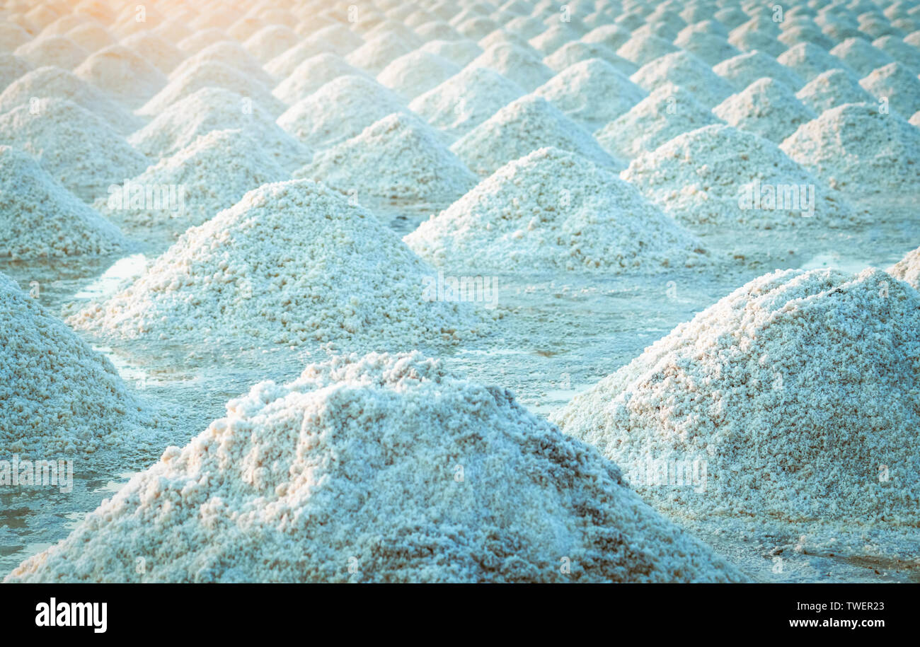 Il sale di mare fattoria in Thailandia. Organici di sale marino. Evaporazione e cristallizzazione di acqua di mare. Il materiale grezzo di sale industriale. Il cloruro di sodio. Eva solare Foto Stock