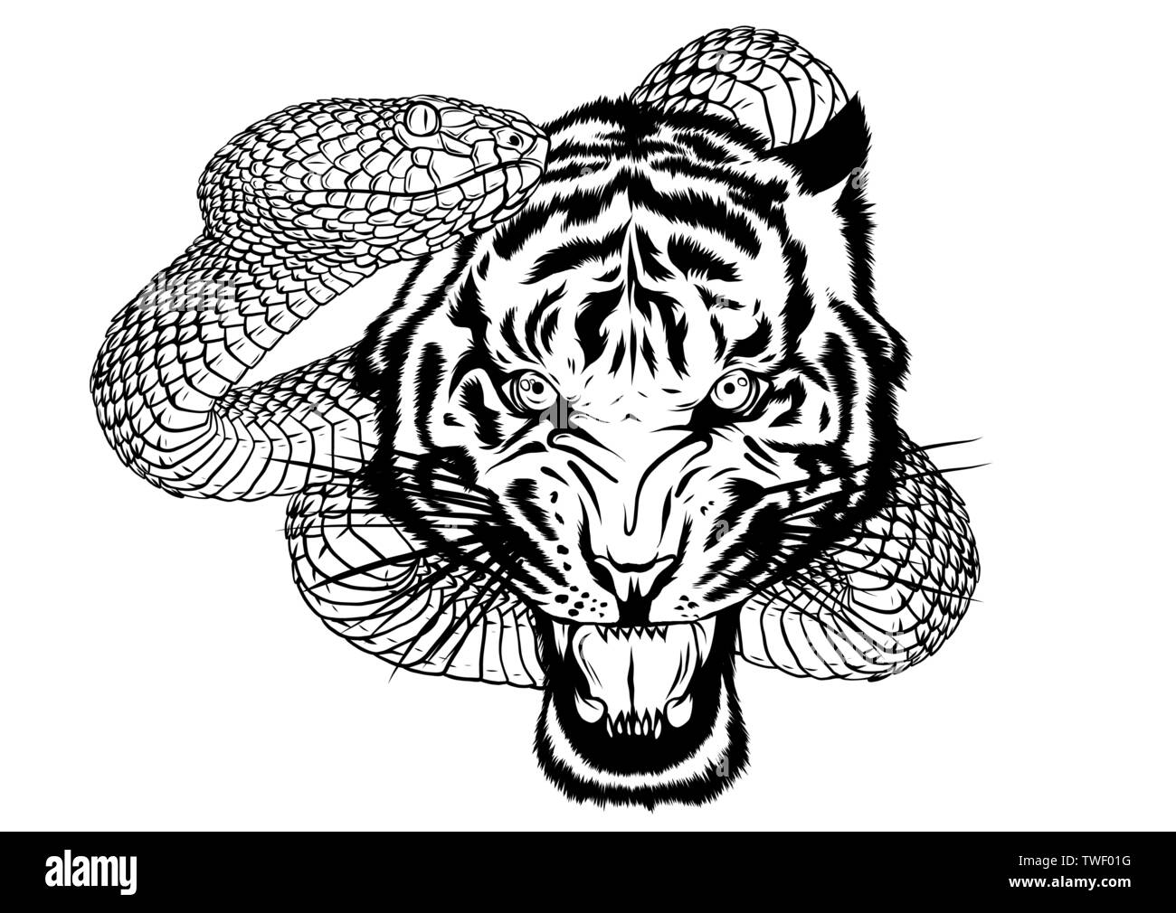 Snake e tiger combattimenti, tattoo illustrazione vettoriale Illustrazione Vettoriale