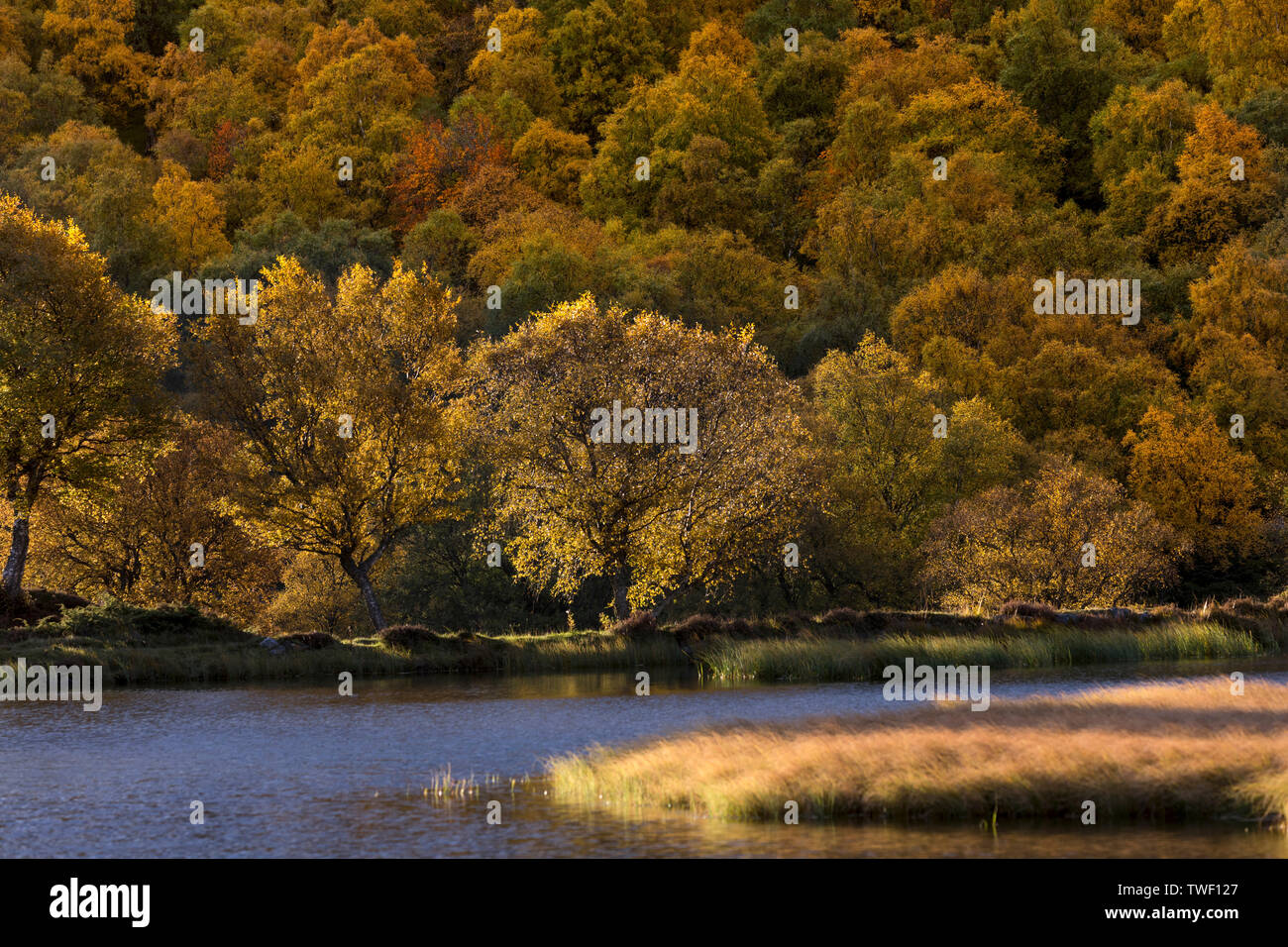 Braemar; Duck Pond Vista; Scozia - UK Foto Stock