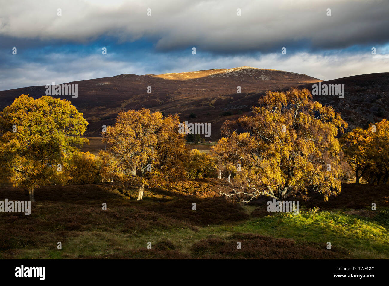 Braemar; Dee Valley View; Scozia - UK Foto Stock