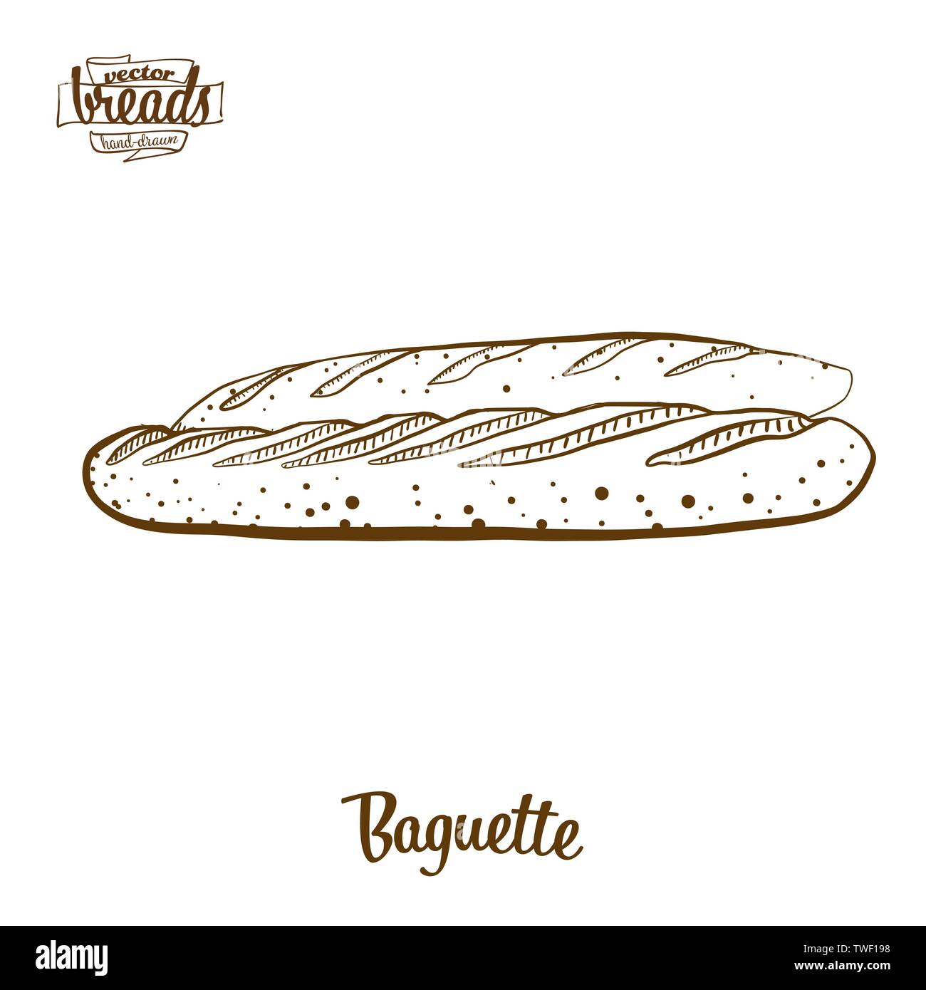 Pane Baguette disegno vettoriale. Schizzo di alimentare il lievito di pane, usualmente noto in Francia. Illustrazione da forno serie. Illustrazione Vettoriale