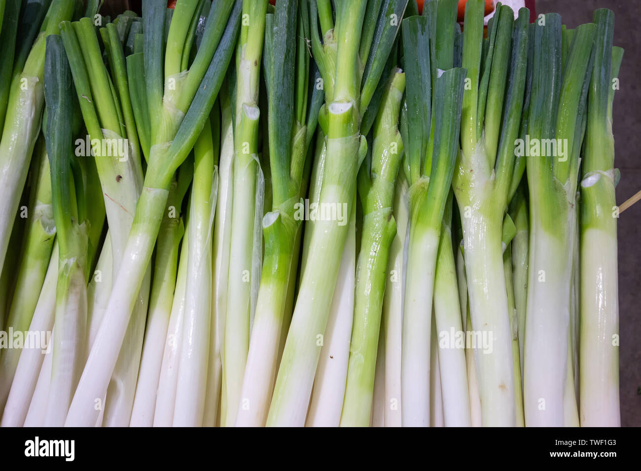 Una cipolla verde in attesa di essere venduto in un commercio all'ingrosso mercato ortofrutticolo. Foto Stock