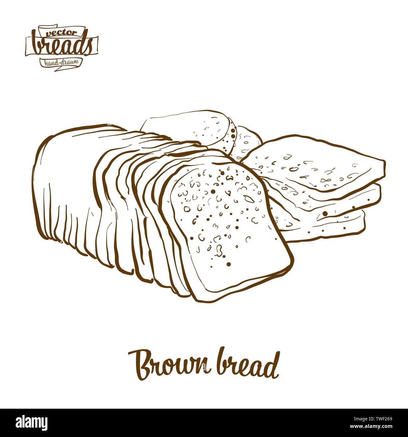 Pane marrone pane disegno vettoriale. Schizzo di cibo di segale o pane di grano, usualmente noto in Irlanda. Illustrazione da forno serie. Illustrazione Vettoriale